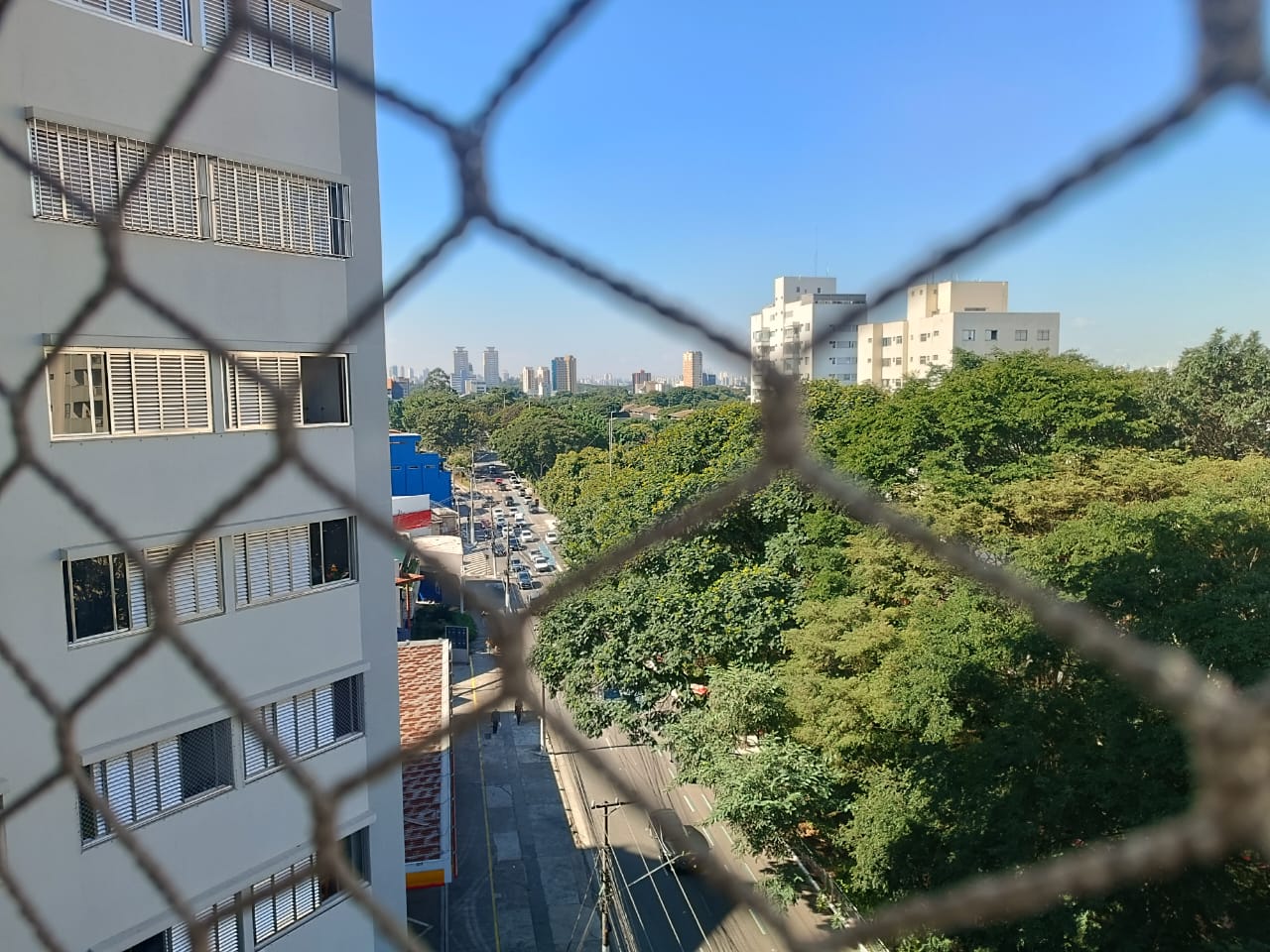 Vista da Avenida Braz Leme, arborizada